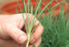 propagation