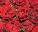 red naomi rose thumb